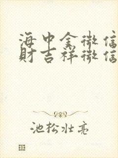 海中金微信名招财吉祥微信名