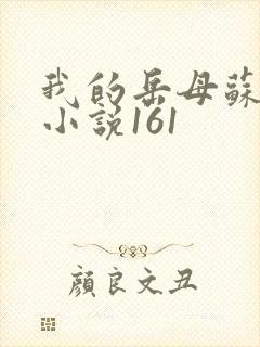 我的岳母苏沛真小说161