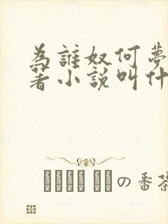 为谁奴何梦蓉原著小说叫什么名字