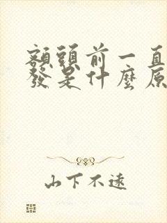 额头前一直长白发是什么原因