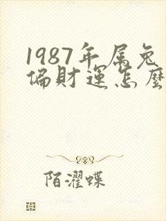 1987年属兔偏财运怎么样封面