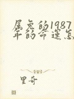 属兔的1987年的命运怎么样