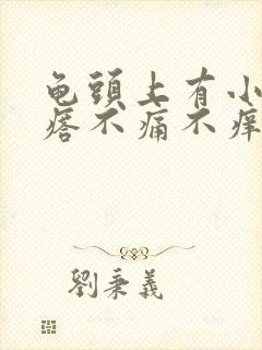 龟头上有小红疙瘩不痛不痒怎么回事封面