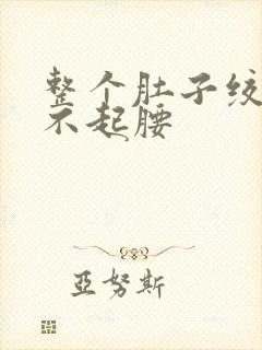整个肚子绞痛直不起腰封面