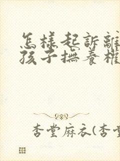 怎样起诉离婚的孩子抚养权