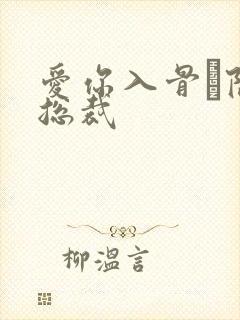 爱你入骨·隐婚总裁