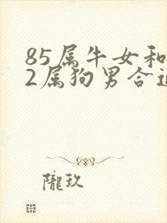 85属牛女和82属狗男合适吗封面