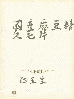 国产麻豆精品久久毛片