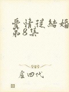 爱情从结婚开始第8集