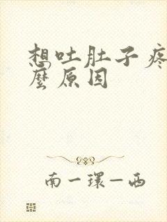 想吐肚子疼是什么原因