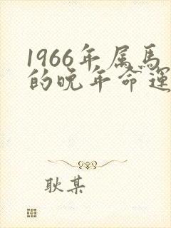 1966年属马的晚年命运