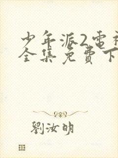 少年派2电视剧全集免费下载