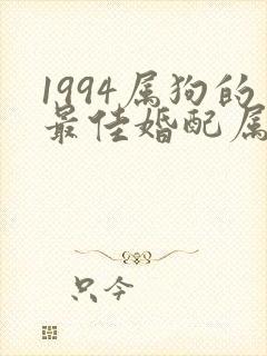 1994属狗的最佳婚配属相