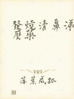 发烧清鼻涕吃什么药