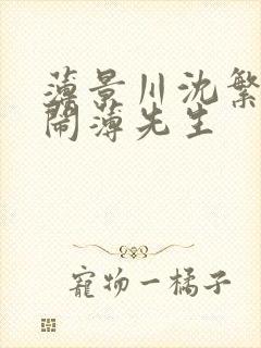 薄景川沈繁星别闹薄先生封面