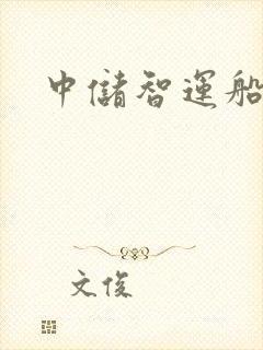 中储智运船运版