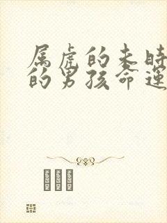 属虎的未时出生的男孩命运