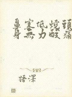 鼻塞低烧头晕浑身无力酸痛