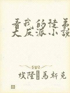 看我的徒弟都是大反派小说