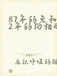 87年的兔和82年的狗相配吗封面