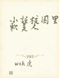 小说校园里的娇软美人封面