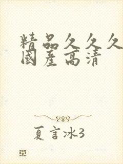 精品久久久久久国产高清