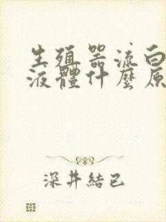 生殖器流白色的液体什么原因