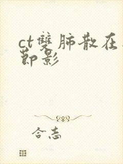 ct双肺散在结节影封面