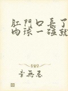 肛门口长了一个肉球一碰就疼