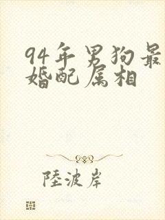 94年男狗最佳婚配属相封面