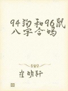 94狗和96鼠八字合吗封面