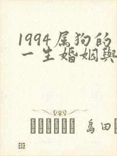 1994属狗的一生婚姻与命运封面