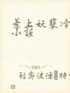 惹上妖孽冷殿下小说