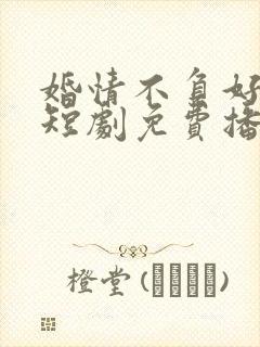 婚情不负好春光短剧免费播放