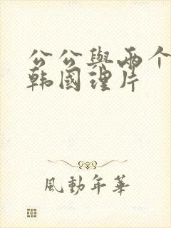 公公与两个儿媳韩国理片封面