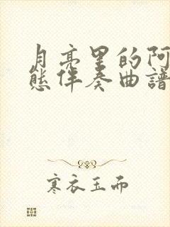 月亮里的阿妹动态伴奏曲谱封面