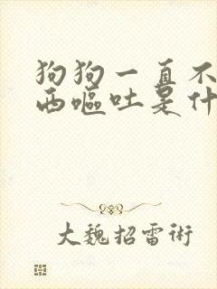 狗狗一直不吃东西呕吐是什么原因