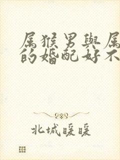 属猴男与属蛇女的婚配好不好封面