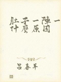 肚子一阵一阵痛什么原因