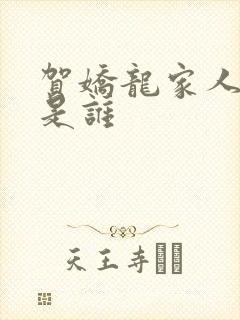 贺娇龙家人丈夫是谁封面