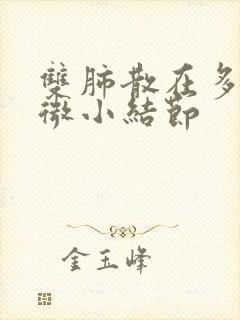 双肺散在多发性微小结节