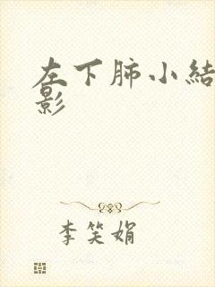 左下肺小结节样影封面