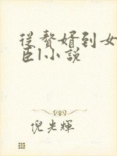 从赘婿到女帝宠臣l小说