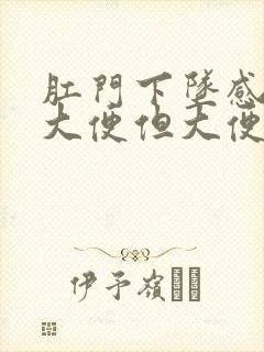 肛门下坠感老想大便但大便没多少