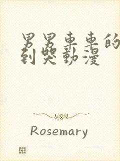 男男车车的车车到哭动漫