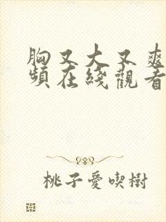 胸又大又爽的视频在线观看