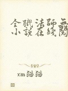 全职法师无删减小说在线阅读封面