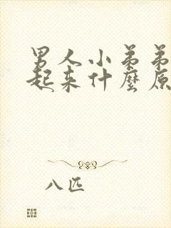 男人小弟弟硬不起来什么原因