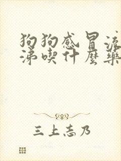 狗狗感冒流脓鼻涕吃什么药