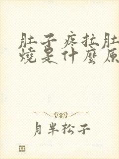 肚子疼拉肚子发烧是什么原因引起的封面